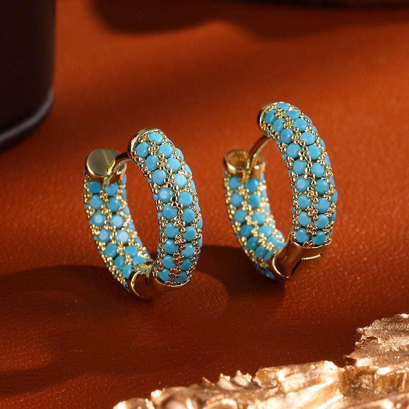 Women's Affordable Luxury Fashion Zircon Earrings - watkins innovators