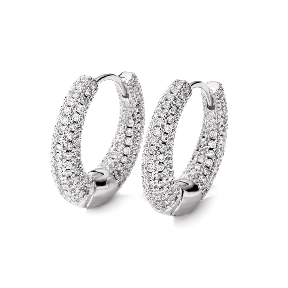 Women's Affordable Luxury Fashion Zircon Earrings - watkins innovators