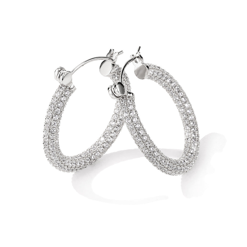 Women's Affordable Luxury Fashion Zircon Earrings - watkins innovators