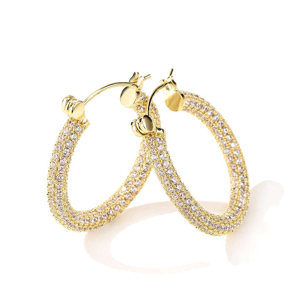 Women's Affordable Luxury Fashion Zircon Earrings - watkins innovators
