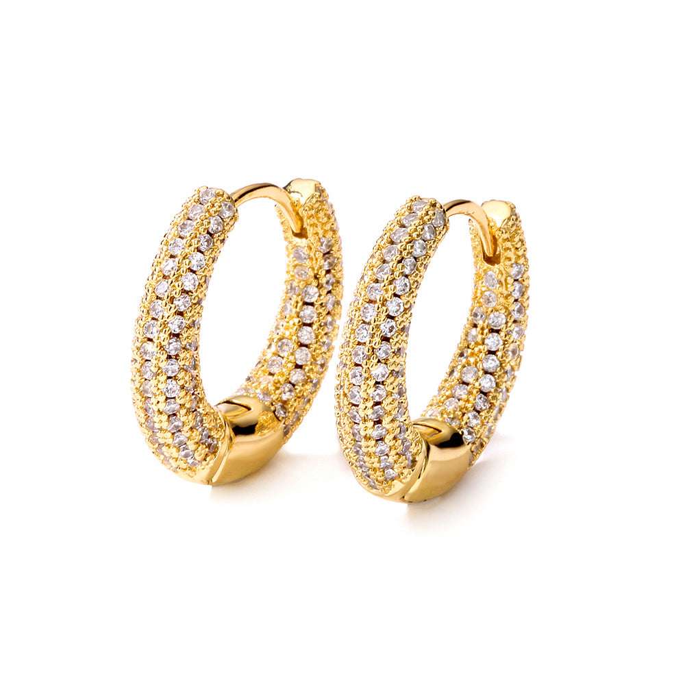 Women's Affordable Luxury Fashion Zircon Earrings - watkins innovators