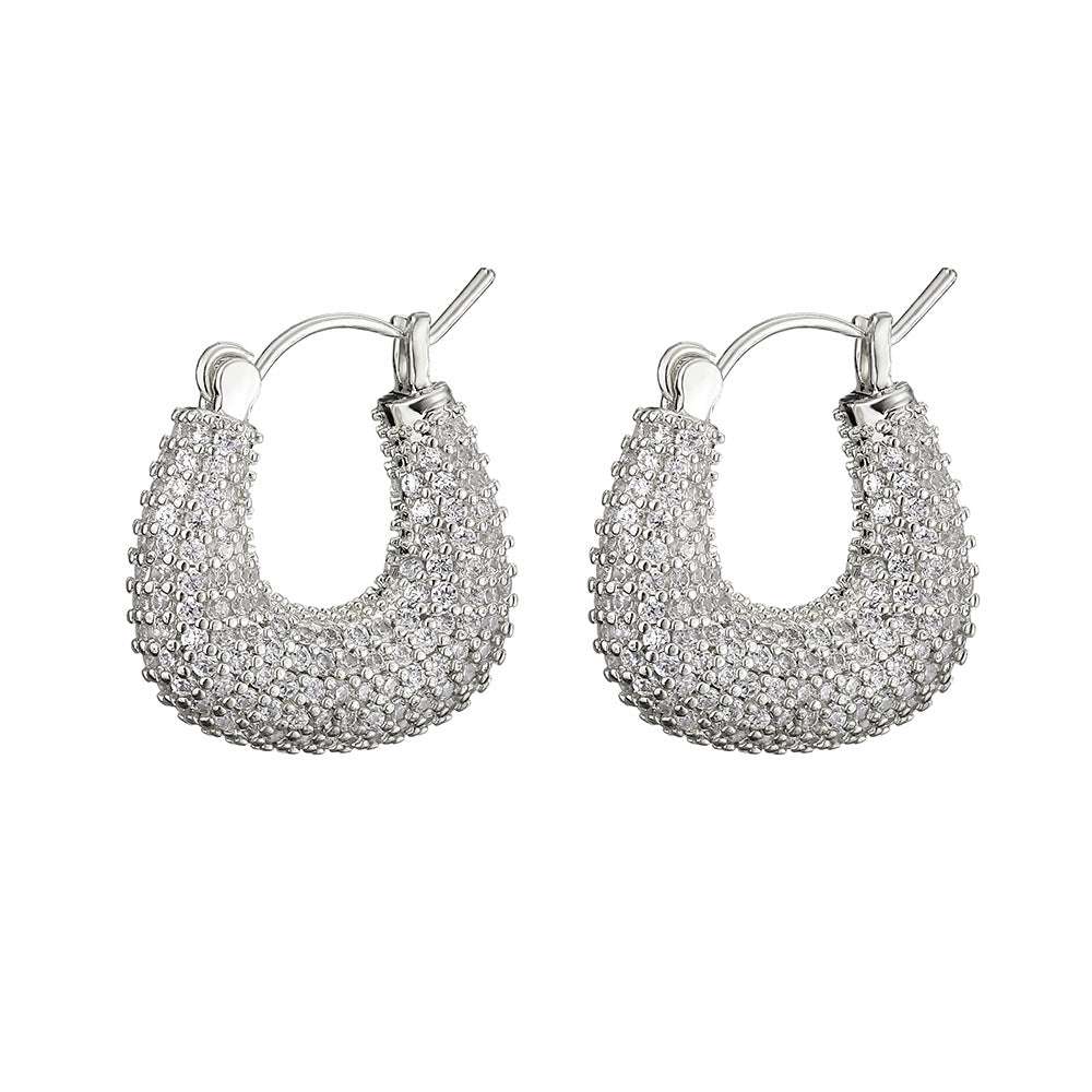 Women's Affordable Luxury Fashion Zircon Earrings - watkins innovators