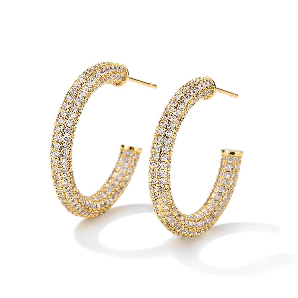 Women's Affordable Luxury Fashion Zircon Earrings - watkins innovators
